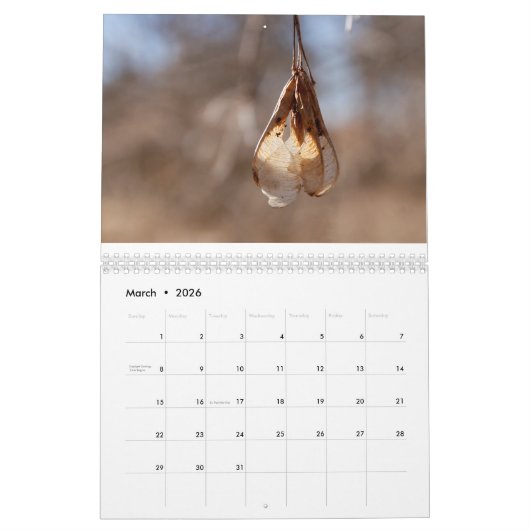 Fotokalender 2016 kalender (Mar 2026)