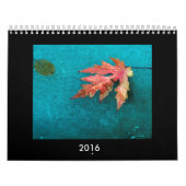 Fotokalender 2016 kalender (Hoes)