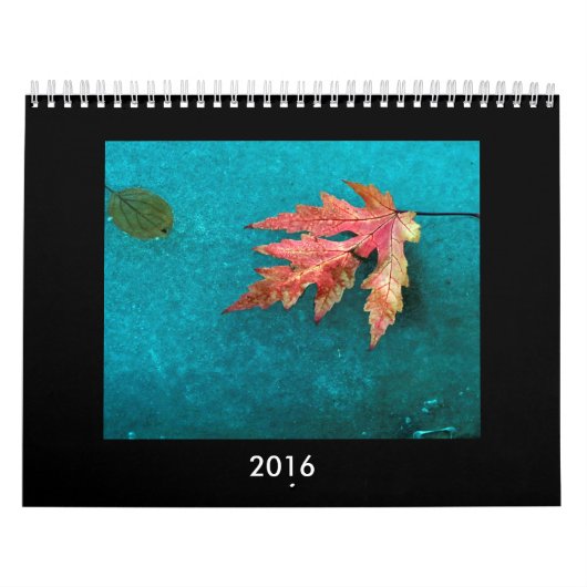 Fotokalender 2016 kalender (Hoes)
