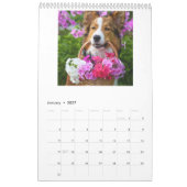 Fotokalender 2025 - Begin het nieuwe begin Kalender (Jan 2027)
