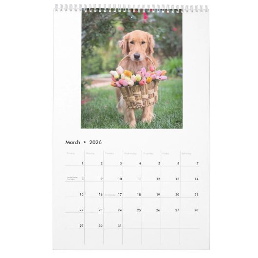 Fotokalender 2025 - Begin het nieuwe begin Kalender (Mar 2026)