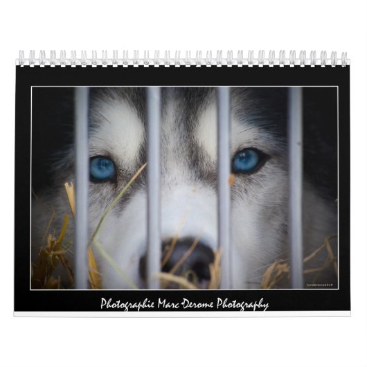 Fotokalender Kalender (Hoes)