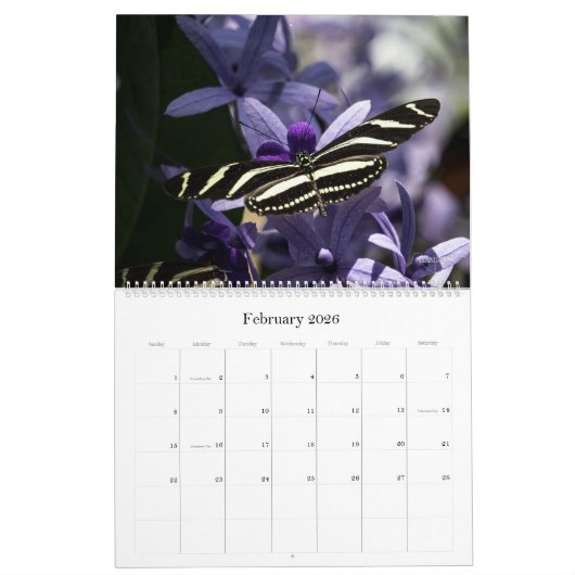 Fotokalender - Pas gewoon aan! HAMbyWG Kalender (Feb 2026)