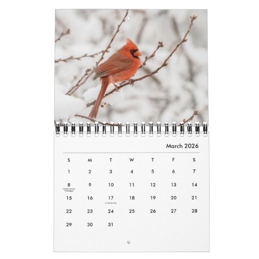 Fotokalender toevoegen kalender (Mar 2026)