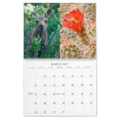 FOTOKALENDER VAN 2009 KALENDER (Mar 2027)