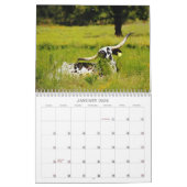 Fotokalender voor Koeien in Texas Kalender (Jan 2026)