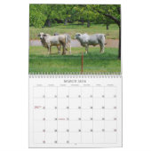 Fotokalender voor Koeien in Texas Kalender (Mar 2026)