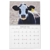 Fotokalender voor Koeien in Texas Kalender (Feb 2026)