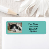 Fotokat Etiket (Insitu)