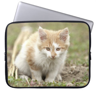 Fotokat, hoesjes voor dierendeltjes. laptop sleeve