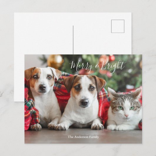 Fotokerstfeest Feestdagenkaart (Voorkant / Achterkant)