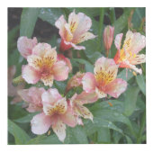 Fotokubus aankleppen (Rechts)