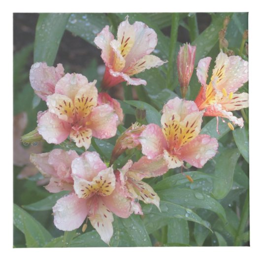 Fotokubus aankleppen (Rechts)