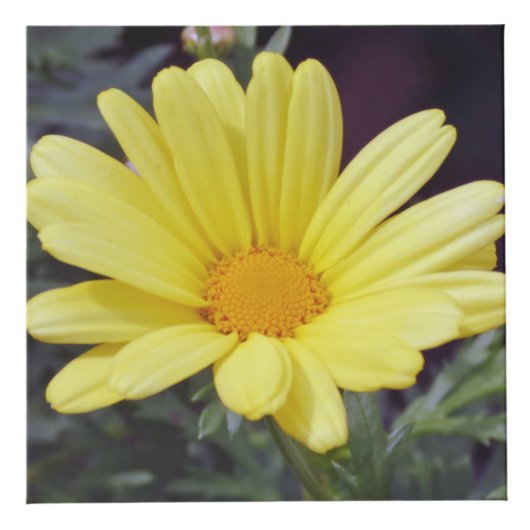 Fotokubus aankleppen (Voorkant)