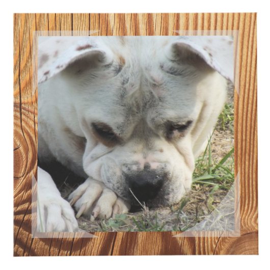 Fotokubus - Faux-Lijst - HAMbWG (Rechts)