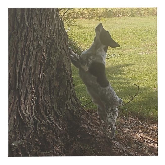 Fotokubus Gepersonaliseerd (Rechts)