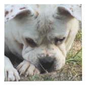 Fotokubus - HAMbWG (Rechts)