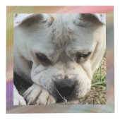 Fotokubus - HAMbWG - met zachte kleurrijke lijsten (Rechts)