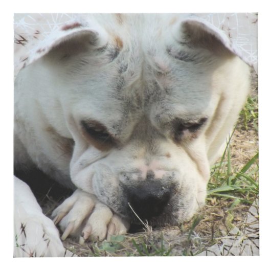 Fotokubus met lacy look-framing - HAMbWG (Rechts)