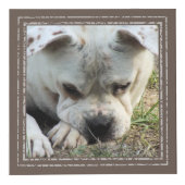 Fotokubus - Mocha Lijsten - HAMbWG (Rechts)