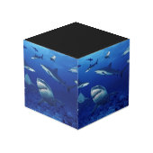 Fotokubus voor haaien (Achter hoekig)
