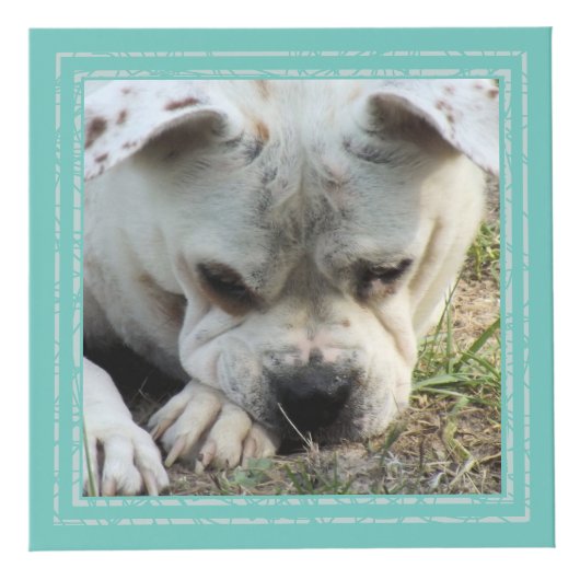 Fotokubus - Zacht Lijst - HAMbWG (Rechts)