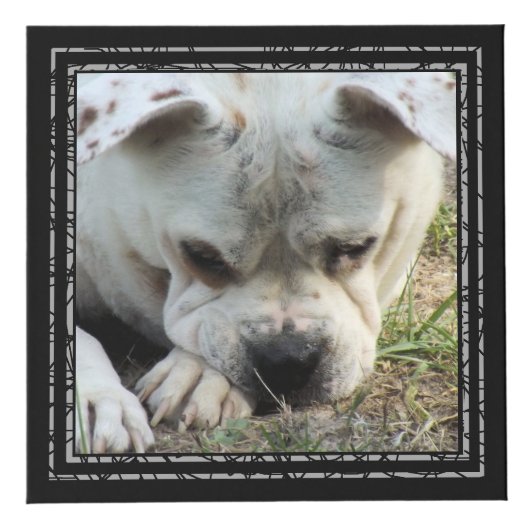 Fotokubus - zwarte Lijsten - HAMbWG (Rechts)