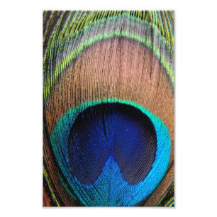 Fotokunst van hedendaagse peacock, close-up foto afdruk