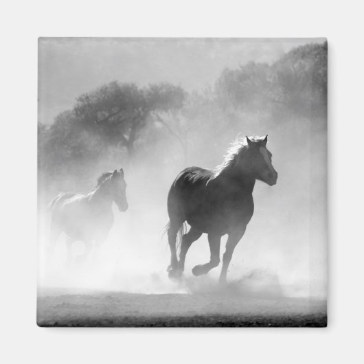 Fotokunstwerk voor zwarte en witte draaipaarden magneet (Voorkant)