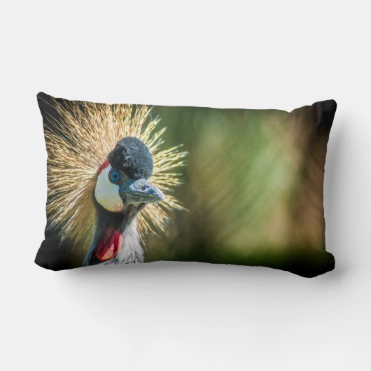 Fotokussen van vogel kussen (Achterkant)