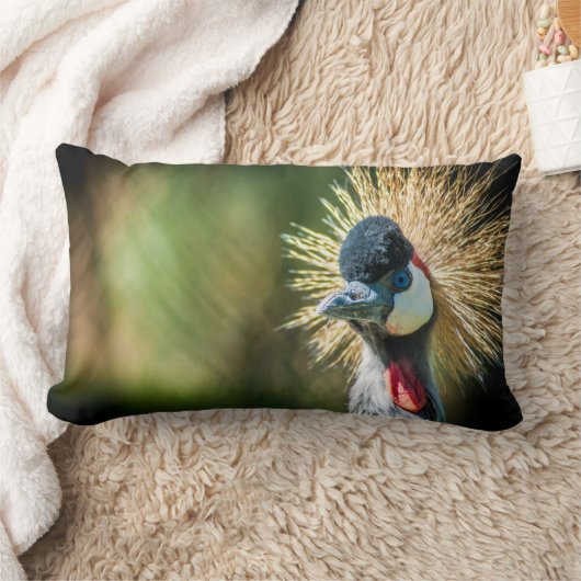 Fotokussen van vogel kussen (Deken)