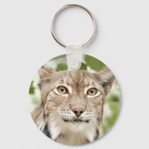 Fotolynx , kat , dieren . sleutelhanger