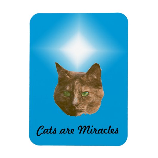 Fotomagneet - Katten zijn Mirakels Magneet (Verticaal)