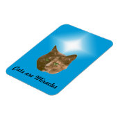 Fotomagneet - Katten zijn wonderen Magneet (Linkerzijde)