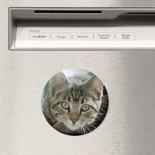 fotomagneet - pas aan met je eigen huisje magneet (Insitu (Vaatwasser))