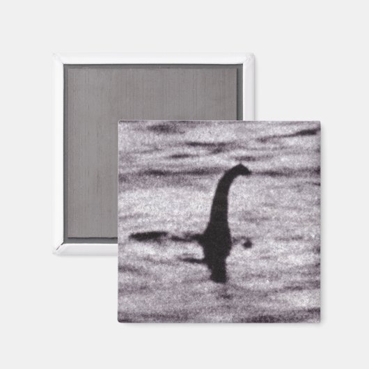 Fotomagneet van de chirurg magneet (Voorkant / Achterkant)