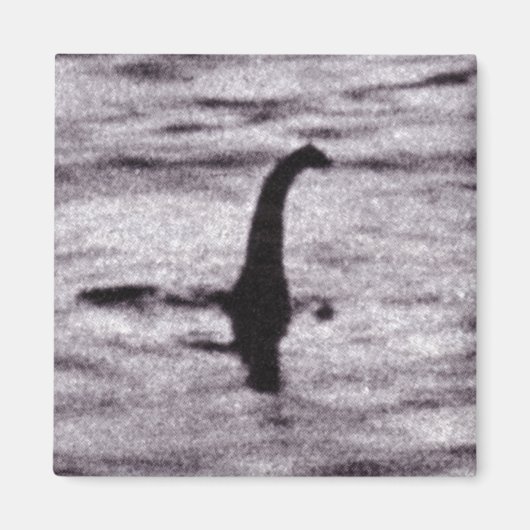 Fotomagneet van de chirurg magneet (Voorkant)