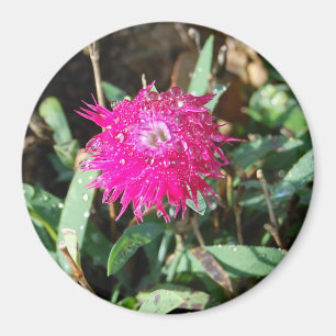Fotomagneet van Fuchsia flower Magneet