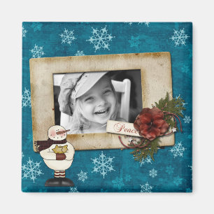 fotomagneten magneet