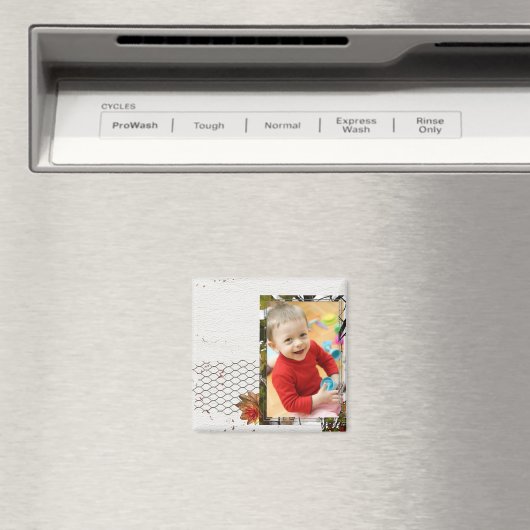 Fotomagneten Magneet (Insitu (Vaatwasser))