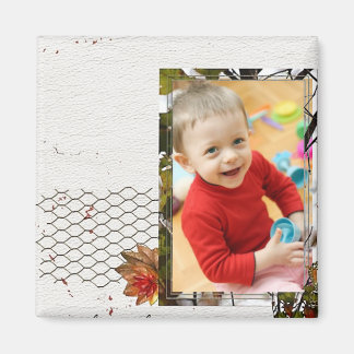 Fotomagneten Magneet