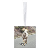 Fotomemoires Decoratie (Rechts)
