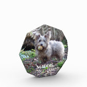 FotoMemorial met naam en datum Fotoblokken (Links)