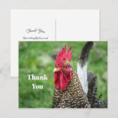 Fotomerk Dank U Haantje Briefkaart (Voorkant / Achterkant)