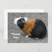 Fotomerk Guinees biggetje Bedankt Briefkaart (Voorkant / Achterkant)