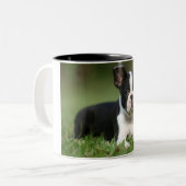 Fotomok Cutest Boston Terrier Tweekleurige Koffiemok (Voorkant links)
