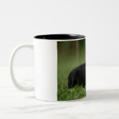 Fotomok Cutest Boston Terrier Tweekleurige Koffiemok (Links)