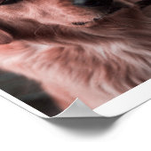 FotoMonogram Voeg je eigen Afbeeldingen Poster toe (Hoek)