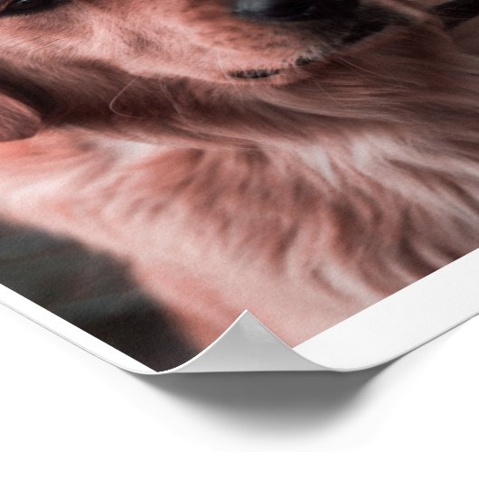 FotoMonogram Voeg je eigen Afbeeldingen Poster toe (Hoek)