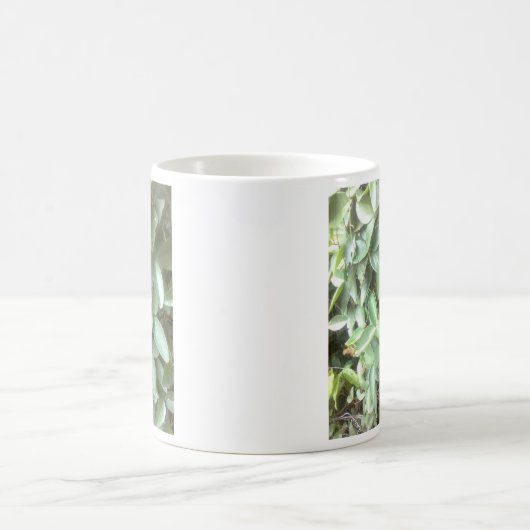 Fotomorfine-mok Magische Mok (Center)